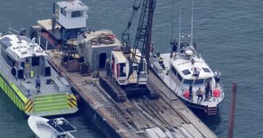Third girl dies after Miami sailing camp boat crash