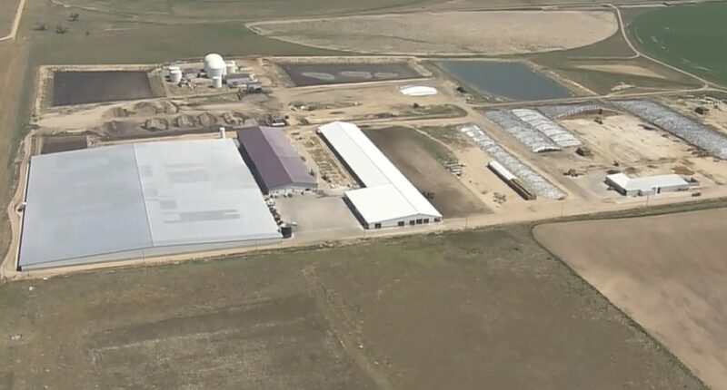 Aerial view of a dairy farm in Keenesburg, Colorado.