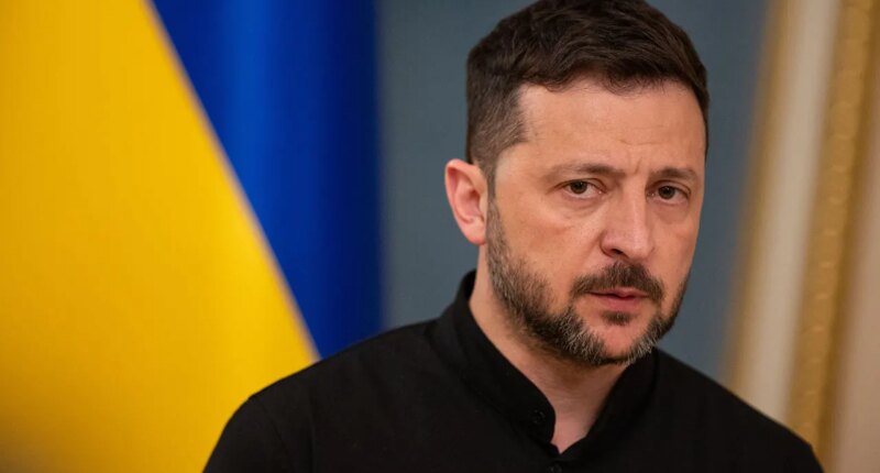 Trump goes after Zelenskyy over 'land swapping' dispute, lays out 'feel out meeting' with Putin