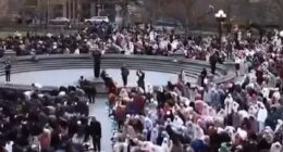 Trump loyalist sparks debate with clip of Muslims praying in NYC park