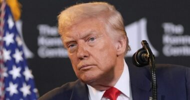 Trump nominates federal prosecutor to 7th Circuit Court of Appeals