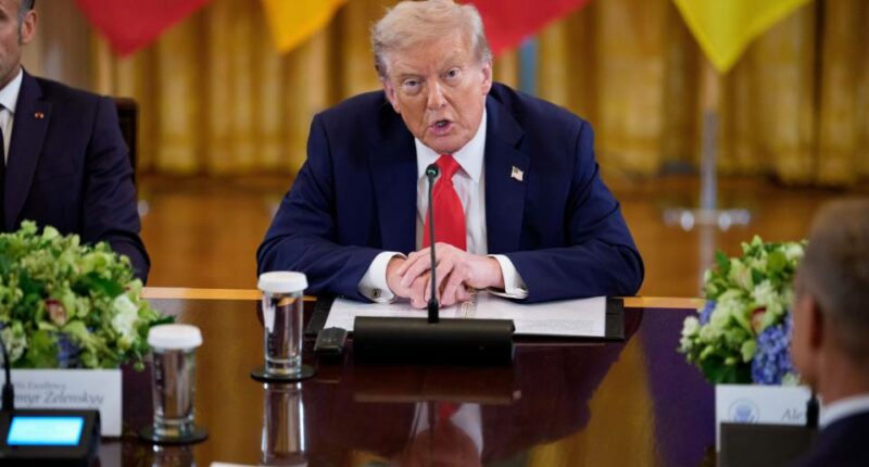 President Trump speaking at a multilateral meeting with European leaders.