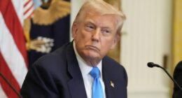 Trump rails against Democrats as Senate takes up his nominees