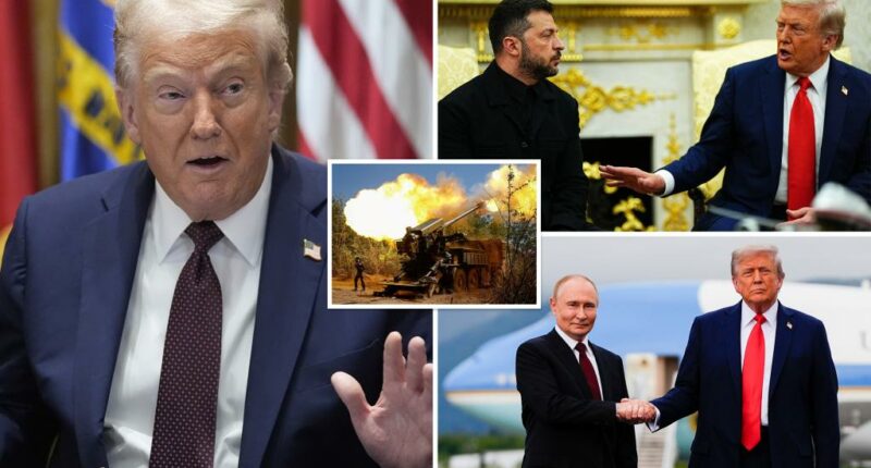 Trump says he, Putin and Zelensky will meet together -- but 'maybe they have to fight a little longer' first
