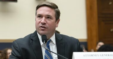 Trump sends another deputy to work alongside Bongino at embattled FBI