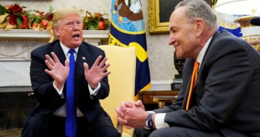 Trump tells Chuck Schumer to 'go to hell', tensions escalate in senate
