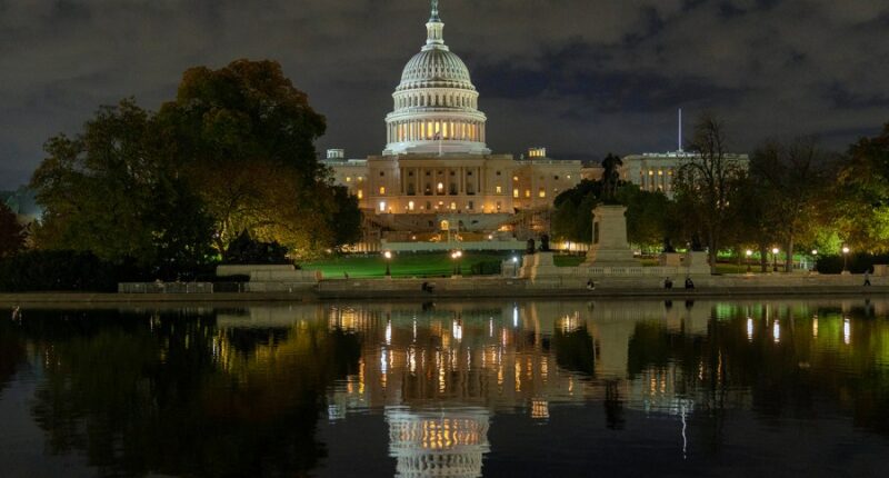 Trump to send FBI on night patrols in DC: Reports