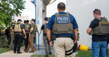 Trump's DC public safety sweep results in 23 arrests including murder suspect on opening day