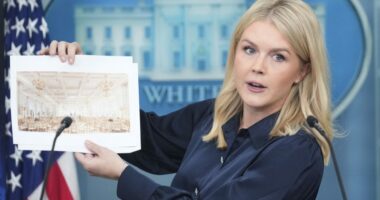 Trump’s plan for White House ballroom sparks outrage from his critics