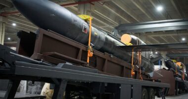 Ukrainian-made long-range drones on a flatbed trailer.