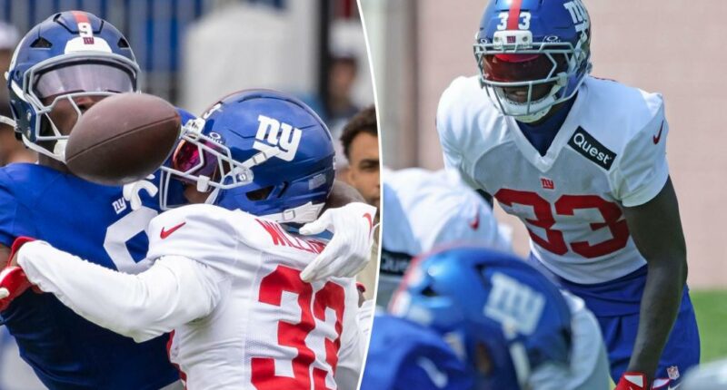 Undrafted Dee Williams impressing in turnaround opportunity with Giants
