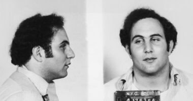 Unearthed ‘Son of Sam’ prison tapes reveal chilling details about serial killer David Berkowitz