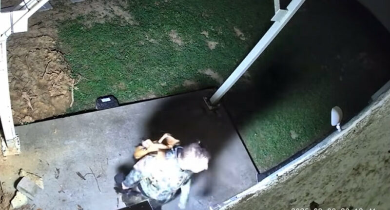 VIDEO: Tennessee Quadruple Murder Suspect Seen in Surveillance Footage Carrying Rifle, Trying Locked Doors