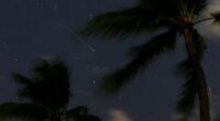 Venus, Jupiter appear close in sky as summer's best meteor shower peaks soon