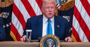 Virginia Giuffre's own words on Donald Trump and Jeffrey Epstein