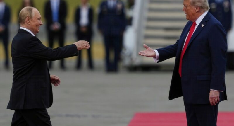WATCH: Trump, Putin shake hands in Alaska ahead of high-stakes summit