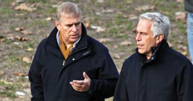 Warnings Epstein may have sold Andrew's most intimate secrets to Putin