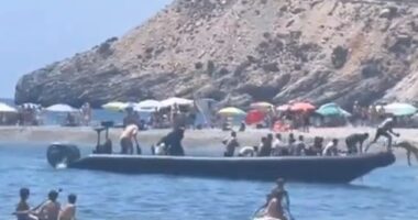 A boat arrives at a beach carrying a large group of people.