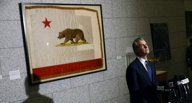 What is Gavin Newsom's net worth?