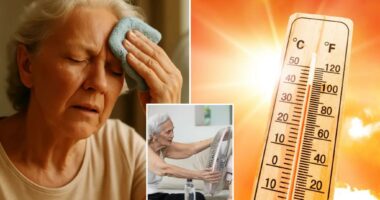 Why fans can make seniors hotter in extreme heat
