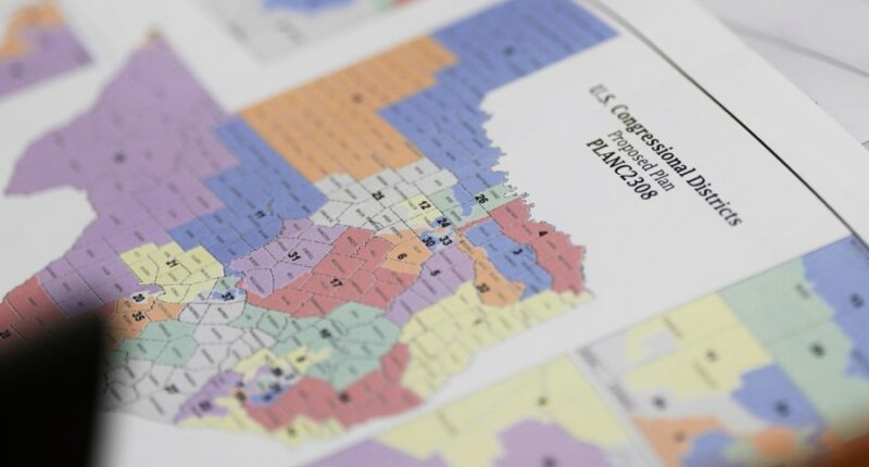 Why not just let AI do the redistricting?