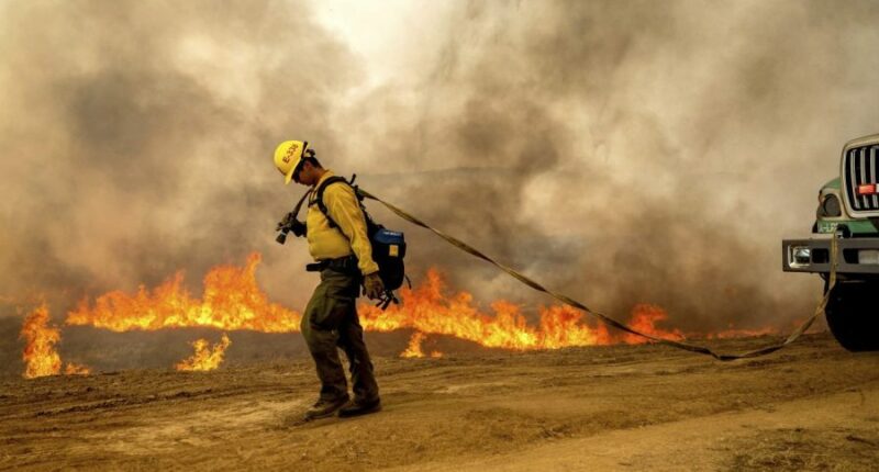 Wildfires could be raising local death rates by two-thirds: Study