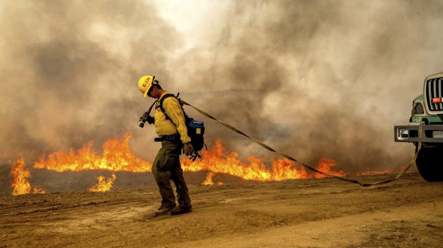 Wildfires could be raising local death rates by two-thirds: Study