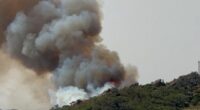 Wildfire smoke billowing over a beach in Tarifa, Spain.