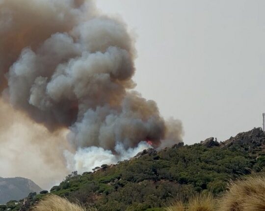 Wildfire smoke billowing over a beach in Tarifa, Spain.