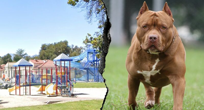 Woman killed and another severely injured after dog mauling at Southern California park