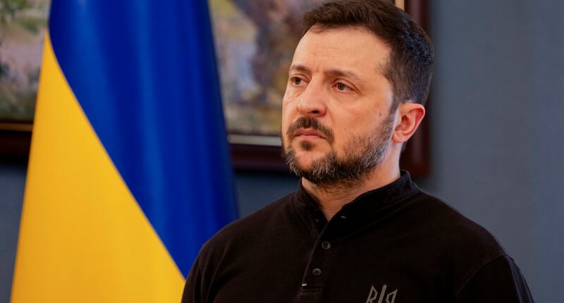 Zelenskyy seeks 'strong reaction' from US if Putin is not ready for bilateral meeting