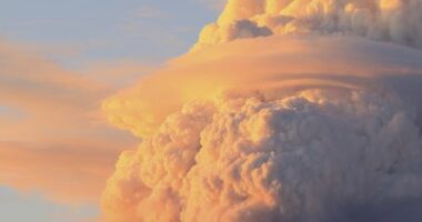 'Fire clouds' over US wildfires are creating their own erratic climate