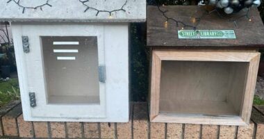 Mark Lim has been forced to temporarily close the street library outside his home after being robbed four times in a year.