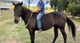 Tributes have been flowing for Jimmy Webster, who died in horse truck crash.