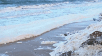 Sea foam at Henley Beach in Adelaide