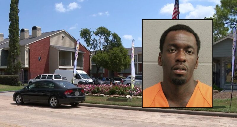 13-year-old hid as mom's ex tried to kill siblings: Police