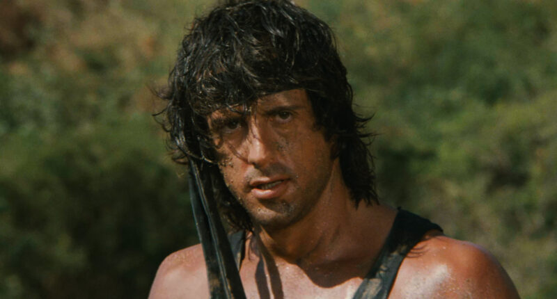 15 Best Action Movie Stars Of All Time, Ranked