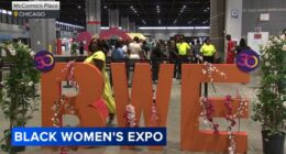 2025 Black Women's Expo: 30th annual event brings special exhibitors, seminars to Chicago's McCormick Place