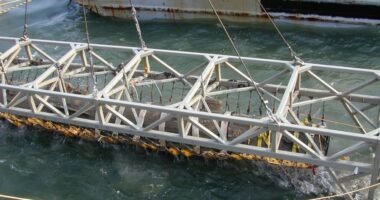 25 years since the raising of the H.L. Hunley submarine