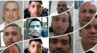350 Criminal Alien Gang Members with 1,400 Deportations, 1,700 Crimes