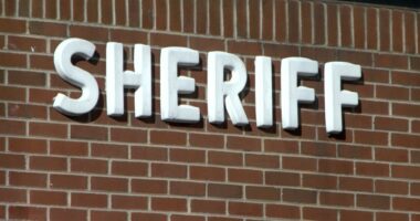 4 arrested on prostitution charges in Sullivan County