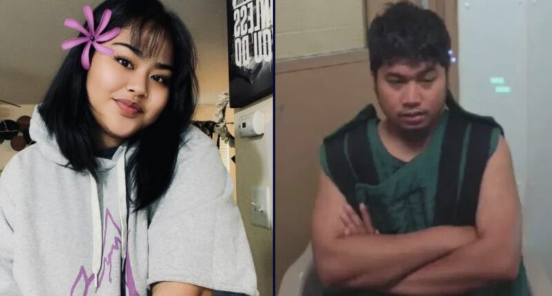 4-year-old called 911 after her dad stabbed her mom: Police