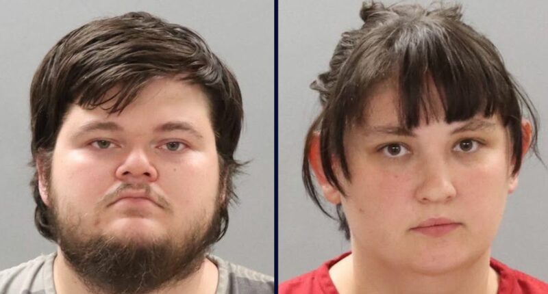 7 kids found living in 'very deplorable' conditions: Cops