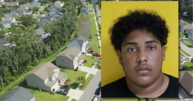 911 call released of Florida teen who said he killed his parents