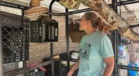 A Mississippi monkey sanctuary helps veterans with PTSD find peace