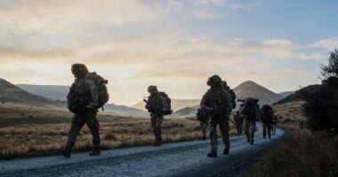 A New Zealand soldier admits attempted espionage in the country's first spying conviction