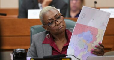 A decade of Supreme Court rulings have given states increasingly unfettered power in redistricting