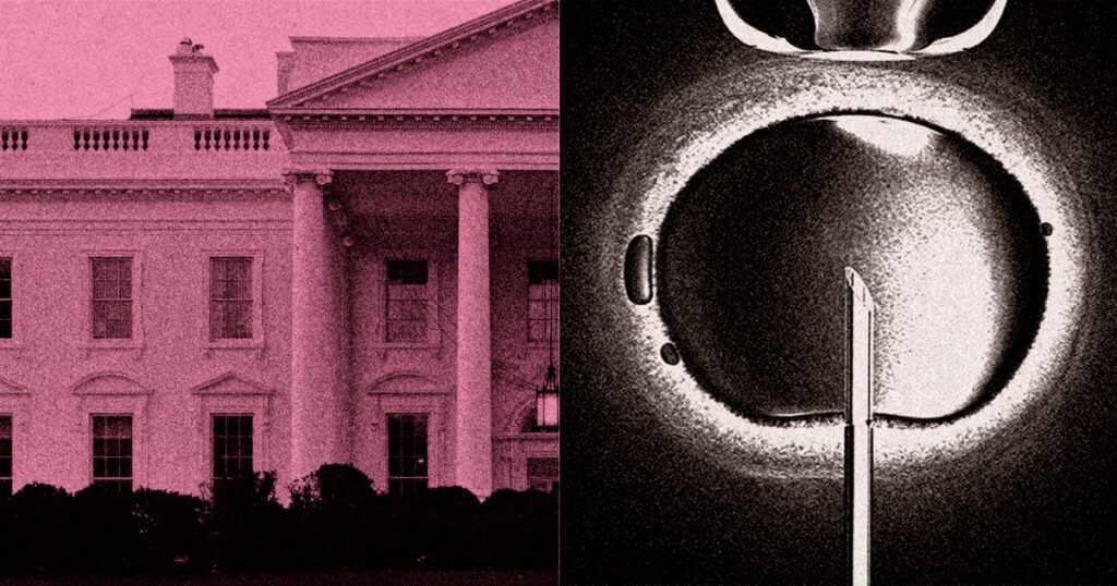 A little-known approach to infertility is complicating the White House's IVF push