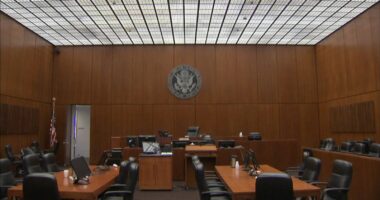 ACLU seeks to expand lawsuit challenging Chicago Police Department use of traffic stops for searches