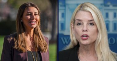 AG Pam Bondi defends Alina Habba's US attorney legitimacy
